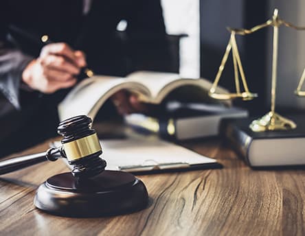 A Soni & Soni attorney at work, reviewing intellectual-property filings